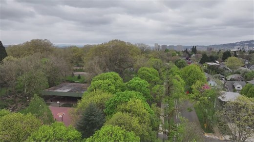 Portland City Council unanimously passes push for inner eastside housing