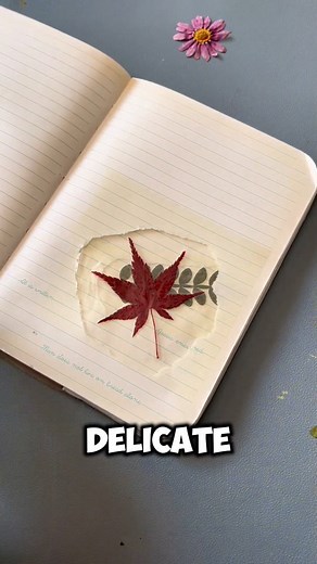 Paper Craft Ideas on Instagram: "Celebrate the beauty of fall with a fun and creative parent-child activity! Inspired by nature, this simple yet artistic project is perfect for adding a seasonal touch to journals or scrapbooks. Tear off one side of a piece of paper and place a transparent sheet behind it. Next, arrange your favorite dried flowers or leaves on the sheet, and seal everything with transparent tape. The result is a delicate, nature-inspired design that beautifully captures the essen