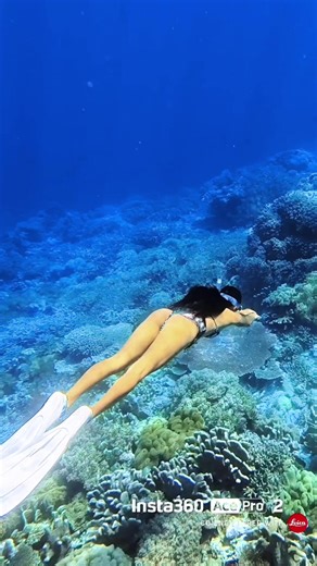 Me under water 🥺 @thebrooklynculture