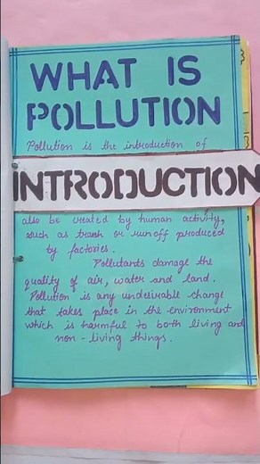 SOCIAL SCIENCE PROJECT FILE ON TYPES OF POLLUTION..| CLASS 8th PROJECT FILE| #project
