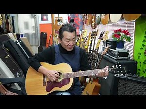 Epiphone AJ-45S 日本限定トップ単板モデル No353