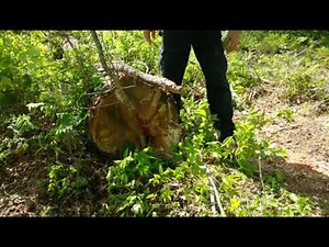 BROWN MFG HTS 3600 BA HYDRAULIC TREE SAW 36" BLADE