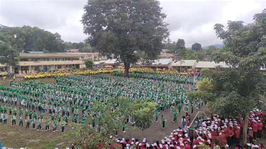 the Green Vipers 💚 | Ralliv Kates