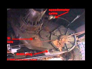 chevy 203 transfer case
