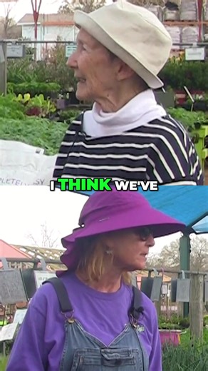 41 reactions | Discover the key considerations for successful spring planting, from dealing with uncertain weather patterns to choosing the right vegetables and herbs. Learn how to make the most of your garden this season. #SpringPlantingTips #GardenPreparation #VegetableGarden #HerbGarden #GardeningTips #WeatherConsiderations #GardenSuccess #GreenThumb #GardeningCommunity #PlantingGuidance | The Arbor Gate | Facebook