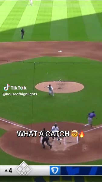 Incredible Baseball Catch Moments