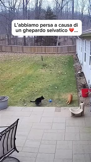 Dopo che se n’è andato ho fatto questo per ricordarlo 🥺 | Instaframe