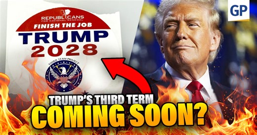 4.7K views · 121 reactions | Trump 2028? Third Term Project Explores Constitutional Amendment to Allow Trump’s 3rd Term | Elijah Schaffer The Third Term Project represents a controversial push to amend the U.S. Constitution’s 22nd Amendment, which currently limits presidents to two terms, to allow President Donald Trump to seek a third term in office. | Gateway Pundit | Facebook