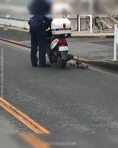 PODEMOS CAMBIAR EL MUNDO ¿COMO? COMENZANDO con pequeños gestos | Instituto Effata