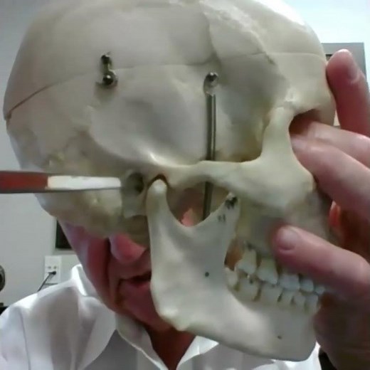 Why TMJ Pain Feels Like It’s in Your Ear 🦻🦷 | Anatomy Breakdown #tmjd