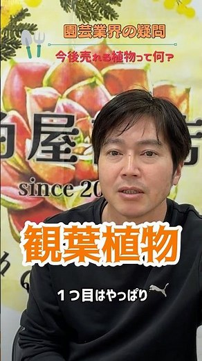これから売れる植物ってどんな植物？どんなことを考えて精算したらいい？ #農業 #観葉植物 #現代農業