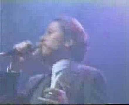 Robert Palmer James Brown addicted to love live