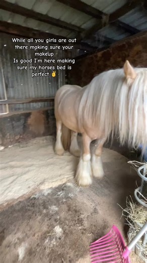 #horse #fyp#goviral #hah #bed