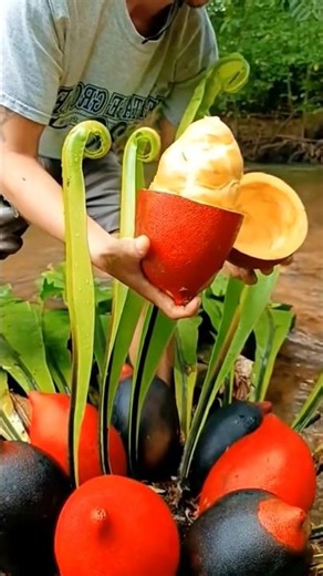 Strange Fruit 😳