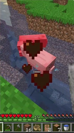 i don't think that's a pig 😭