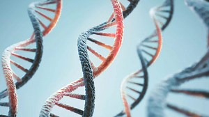 Foundations in DNA 1 of 5: Genealogy and DNA - Legacy Family Tree Webinars