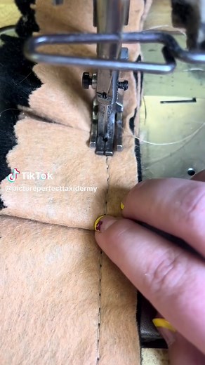 Creating a Bear Rug: Taxidermy Stretching Technique