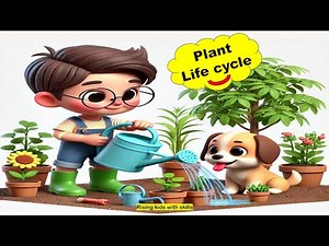 Plant Life Cycle for Kids / Stages of Plant Life