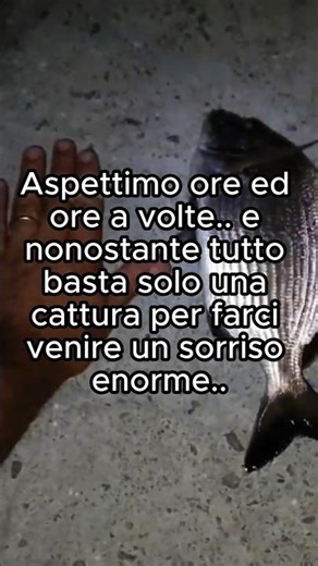 SARAGO NOTTURNO all’INGLESE! ACCIUGA TECNICA E PASTURAZIONE PERFETTA!!