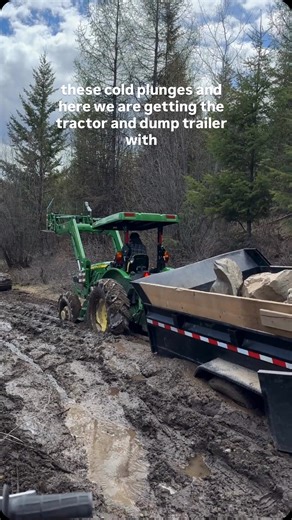 5.5K views · 54 reactions | When you live in the forest it’s nice to...