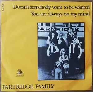The Partridge Family - Doesn't Somebody Want To Be Wanted