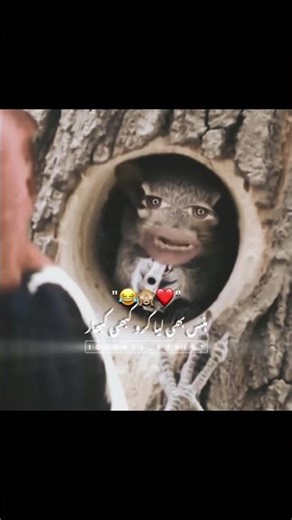 What happens when you get hot-headed ? 😡😡