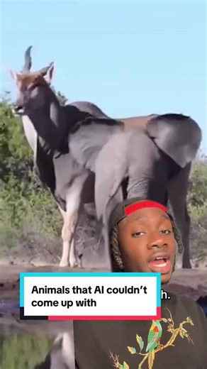 For the South Africans 🇿🇦, how was my pronunciation? #animals#nature#learnontiktok