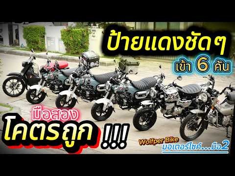 ( มือสอง )โคตรถูก !!! 🌟 สภาพสวยกริ๊บ !!! ❤️เข้าใหม่ 6 คัน ช้าอด !!!