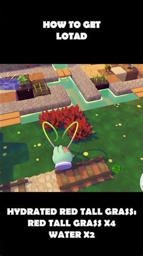 How To Get Lotad In Pokemon Pokopia (100% Guide)