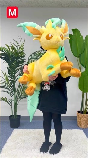 Pokémon Life-Size Eeveelutions Collection #pokemon #shorts #eevee