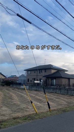 Kenshu Seijapan: Hiragana and Nihongo Learning