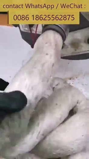 EPS Hot Melting Recycling Machine Foam Crusher Thermocol Block Making Machine