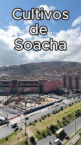 29K views · 1.4K reactions | Círculos en los cultivos de maíz de soacha, residuos que no son de origen alienígena, son de origen humano, los colchones, sofás o escombros no van con la basura normal, llama a Urbaser Soacha y programa la recolección de los residuos. #humor #colombia #bogota #soacha | Habichuela | Facebook