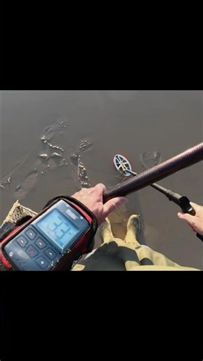 Le XP Deus 2 avec son disque HF2 performant aussi sur la pêche à la sardine ! #sardinia #sardine