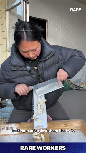 ROOT SLICING 🔪 traditional herb cutter #shorts