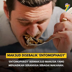‘Entomophagy’ ialah istilah untuk seseorang yang memakan serangga. Serangga juga dikatakan sebagai makanan yang mempunyai sumber protein, vitamin, lemak, dan mineral penting yang sangat baik. Sumber: ucr.edu.com #ArtificialIntelligence #NTV7AI | ntv7malaysia | Facebook