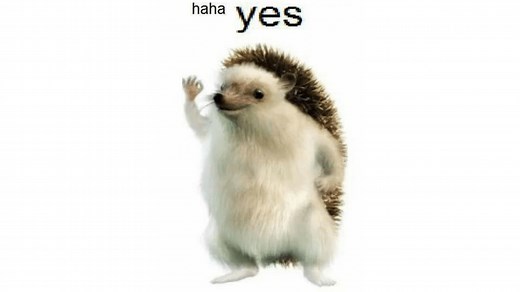 Haha Yes Hedgehog | Know Your Meme