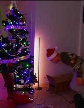 aCookiegod's amazing live stream (funny clip)