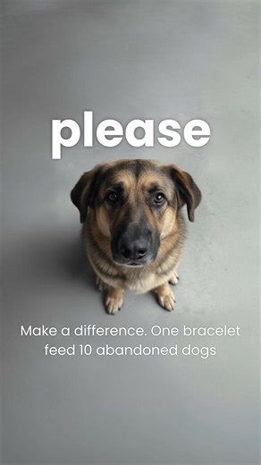 💔 Millions of abandoned dogs struggle for survival every single day... Once beloved companions now roam the streets, searching for their next meal. The statistics are heartbreaking: - Over 70 million stray dogs in the USA alone - Countless dogs surviving on scraps and refuse - Former pets forgotten and left to fend for themselves - Local shelters overwhelmed and underfunded - Communities struggling to address the growing crisis This silent suffering continues daily, hidden from view but very re