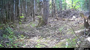 Chasse Québec on Reels