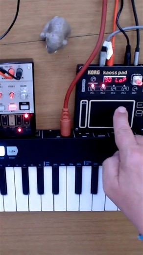 Going loopy with the Volca Bass and NTS-3!