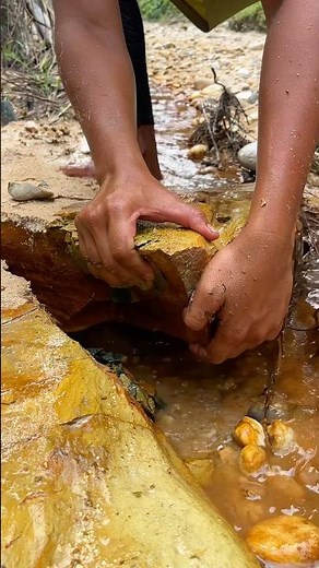 The process of finding gold | finding gold in bedrock fragments | finding gold nuggets worth $2500