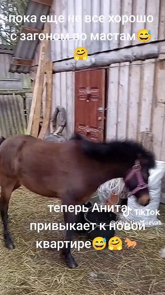 Конный двор