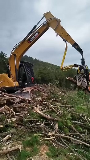 This timber no good. #excavatorattachment #xcavator #excavator #logging #automobile #foryou | King Farmer