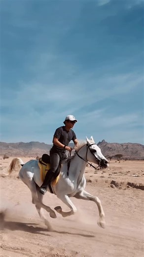 Natta Reza | Penunggang kuda🐎🩶 #masyaallahtabarakallah | Instagram