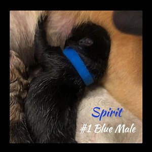 54 reactions · 7 comments | Drum roll please...論 We have the...