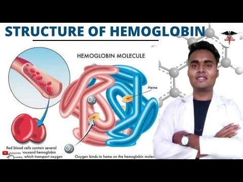 What is the structure of hemoglobin ?? | Hb A ,Hb F , Hb A2 || linkages and binding of O2.