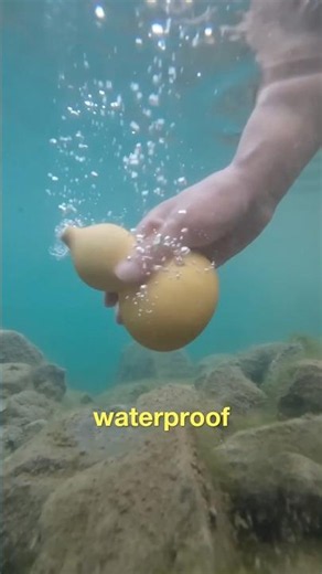 Making a Natural Gourd Water Bottle 🍾 #learningnewthings #staycurious #canteen #viralvideos