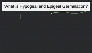 Explain Hypogeal and Epigeal germination?... | Filo