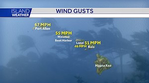 2.9K views · 21 reactions | How windy was it at your home? Nearly every island had wind gusts topping 50 mph, but wait until you see how strong the winds have been at the windiest spot around the state. Take a look at the numbers, and then find out when the winds will die down on KITV 4 Island News at 10. | KITV4 | Facebook